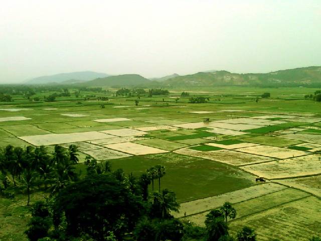 Land Developers in Dholera